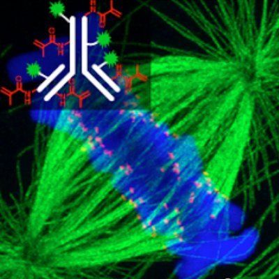 Research lab @UW exploring #expansionmicroscopy #tissueimaging #spatialtranscriptomics #multiplexedimaging #lightsheet