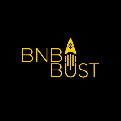 BNBbust.com