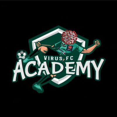 VFcacademy Profile Picture