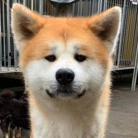 eri tin (@itin_er) 's Twitter Profile