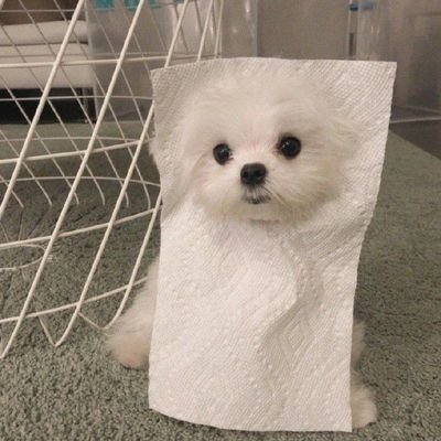 มุกอบ🍧 คอแห้วมั้ยไม่รู้ แต่มุแห้วさんのプロフィール画像