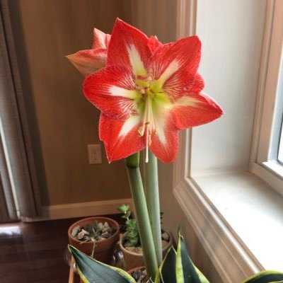 ChenHchen18's profile picture. 