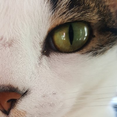 Winner of Fetisov Journalism Award.
Contact me: donovannick - AT - protonmail - com
Find me on signal: nickpdonovan.01
DMs open.
The Sentry.
Views own. He/him