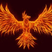 Phoenix_707 (@phoenix_7_7_) 's Twitter Profile