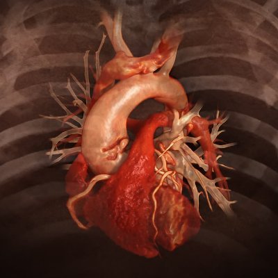 Diagnostic and Interventional Cardiology magazine Profile
