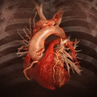 Diagnostic and Interventional Cardiology magazine(@DAICeditor) 's Twitter Profile Photo