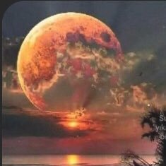 uslemok's profile picture. 