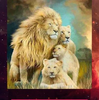 Yaov_i's profile picture. 🥴 PV Solar \ Electrical \ Submersible Pumps\ Decor-Curtains Technician ☹