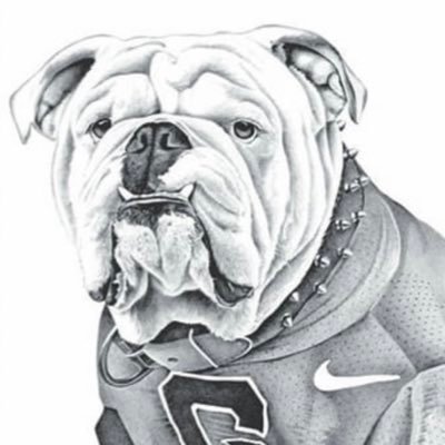 SOWEGA boy, CCRN, CGRN, AEMT, BSN, MSN, BSBA, MBA, Newlywed, 2 beautiful daughters, 1 SIL, UCSB & SLU grad, Dawgs fan since birth. Georgia always on my mind!