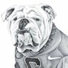 RichietheDawg's profile picture. SOWEGA boy, CCRN, CGRN, AEMT, BSN, MSN, BSBA, MBA, 2 beautiful daughters, UCSB & SLU grad, proud LBGTQ brother, parent & supporter. Dawgs fan since birth.