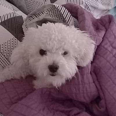 arg2311's profile picture. Poco paciente... Mamá de Carlota... 
Amo mi trabajo... 
MDQ mi ciudad actual... ( no se sabe hasta cuándo).