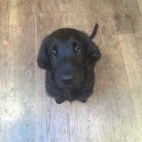 jim chancellor (@jimchancellor) 's Twitter Profile