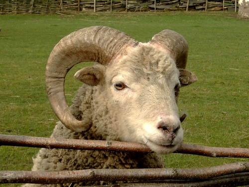 colin stuart gutteridge