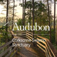 Corkscrew Swamp Sanctuary(@CorkscrewSwamp) 's Twitter Profile Photo