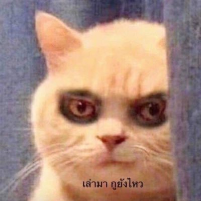 narnniran's profile picture. 