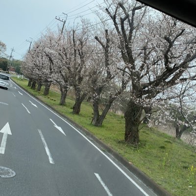 たまにパチ画/182㌢/4○歳/細く長くで/趣味は呑む・打つ・食う/特技マッサージ/全てノン・フィクションです❗️たまにエッチな女子をついつい観ちゃうのはご愛嬌だぞ！人間性欲があるんだから