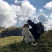 Giovanni Bombardieri (@giobomba) 's Twitter Profile