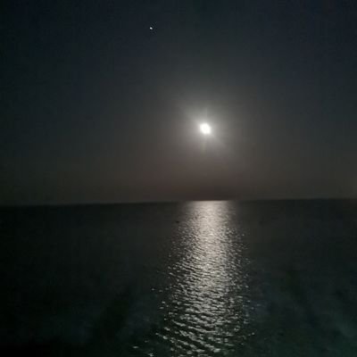 ss_abadi's profile picture. ‏الحمدلله