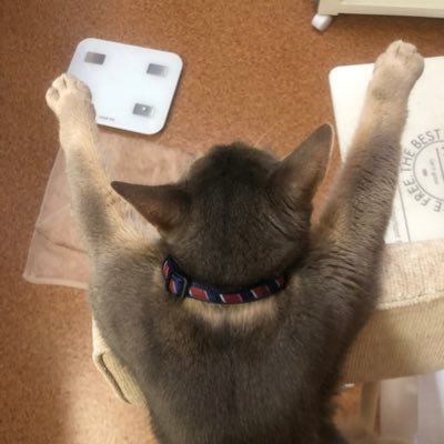 eohboost's profile picture. ★性別:男性 ★趣味 :エイジオブゼット 温泉巡り ★はまっている物:#エイジオブゼット くだらないことをツイート #バトルオブフィールド ★似ていると言われる人:オダギリジョーさん、AAAの西島さんを20回ぐらい引っ叩いた感じ