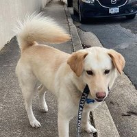 Ben Walters (@thebenwalters) 's Twitter Profile