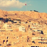 sahr süleyman (@lpe2mbp2dobk9zc) 's Twitter Profile