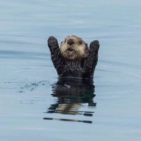 Jarobotics (@jarobotics11) 's Twitter Profile