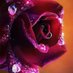 Kalad (@kalad923133611) Twitter profile photo Kalad (@kalad923133611) Twitter profile photo