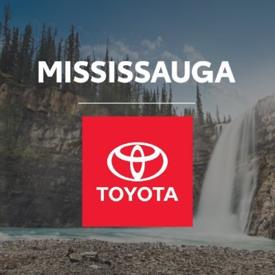 MissToyota Profile Picture