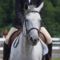 Colleen (@chevalpaperie) 's Twitter Profile Photo