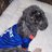 Gatorgreeter401's profile image