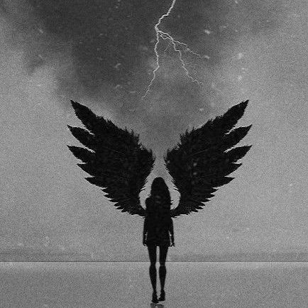 🖤