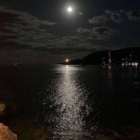 فحل تعزي المكلا (@radf86) 's Twitter Profile