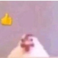 RTgriff (@arthurgriffthi1) 's Twitter Profile