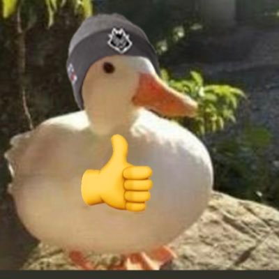 Twitch Affiliate Qiyana OTP EUW & Diamond EUW player + TFT Climbing the ladder https://t.co/3kSQnmNBk3