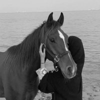 ‏﮼سلمى (@salma_22_s) Twitter profile photo