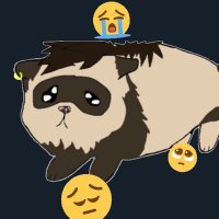 BustleFerret (@bustleferret) 's Twitter Profile