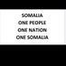 VoiceOfSomalia (@SomalisVoices) Twitter profile photo