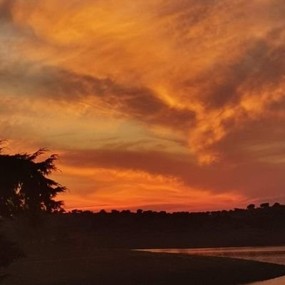 emanuelcaiola's profile picture. #LTC #ETH #loveCRYPTO #Airdrop #BTC #BNB $KPAPA