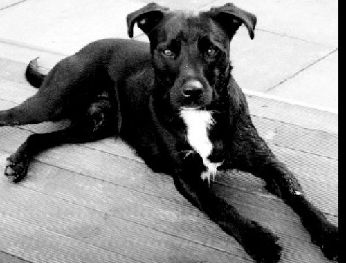 john_mudd's profile picture. 