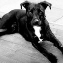 John RS Mudd - @john_mudd - Twitter