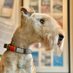 Bertie Lakeland (@bertielakeland) Twitter profile photo Bertie Lakeland (@bertielakeland) Twitter profile photo