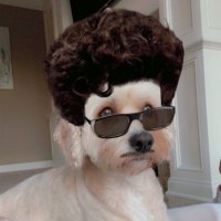Jak1313 (@jkacherski) 's Twitter Profile