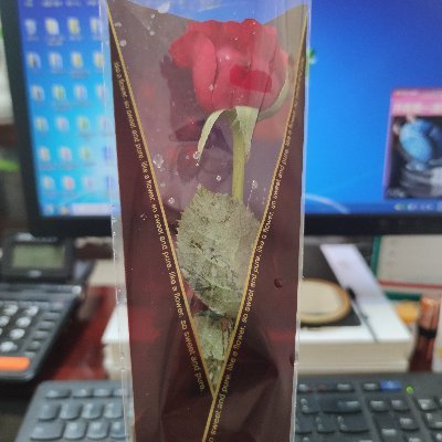 xiner201210's profile picture. 