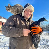 Morgan Gold (@goldshawfarm) 's Twitter Profile Photo Morgan Gold (@goldshawfarm) 's Twitter Profile Photo