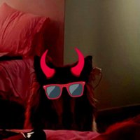 Devil Dog, Esq. (@romanticballad) 's Twitter Profile Photo Devil Dog, Esq. (@romanticballad) 's Twitter Profile Photo