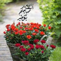Malek Gomaa (@malekgomaa3) Twitter profile photo