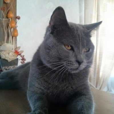 Tchild21's profile picture. 