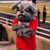 Tricitiesmascot (@tricitiesmascot) Twitter profile photo Tricitiesmascot (@tricitiesmascot) Twitter profile photo
