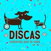 DiscasRodandoxLaVida (@discascba) 's Twitter Profile Photo