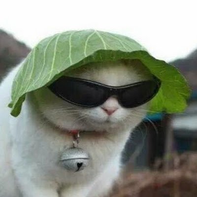 winterafes's profile picture. 